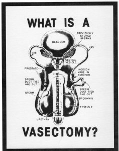 What Is A Vasectomy? Vintage 1980's Americard Postcard New York City #55...