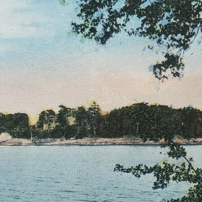 Curtis Negro Island Camden Maine Birdseye View Trees Horizon ME Postcard E88