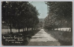 State~Tree Lined Road Of Lovers Lane~Fields On Sides~Spencer IN~PM 1909 Postcard