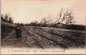 France Le Regioni Francesi Liberate Ham  Vintage Postcard C048