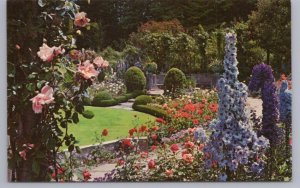 Delphinium Time, Butchart Gardens, Victoria, British Columbia, Vintage Postcard