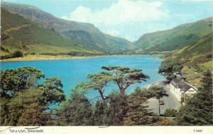 Tal-y-Llyn Gwynedd postcard