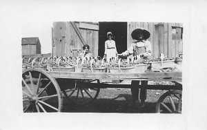 Grape Harvest Real Photo People Working Unused crease along right edge