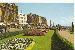 Sussex Postcard - Marina Gardens - Bexhill- on- Sea - Ref TZ4485