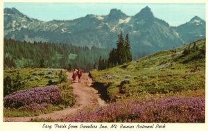 Easy Trails From Paradise Inn Mt. Rainer Nat'l. Park WA Vintage Postcard