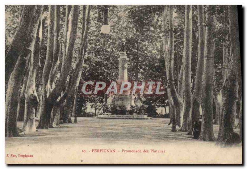 Old Postcard Perpignan Promenade des Platanes