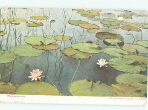 Divided-Back GREAT SCENE Greeting Postcard AA6962