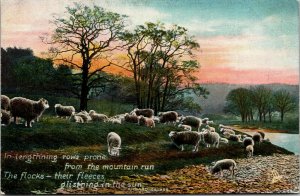 Vtg 1910s Sheep Grazing Richard Savage Animal Studies 4463 Raphael Tuck Postcard