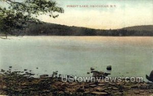 Forest Lake - Grooville, New York NY  