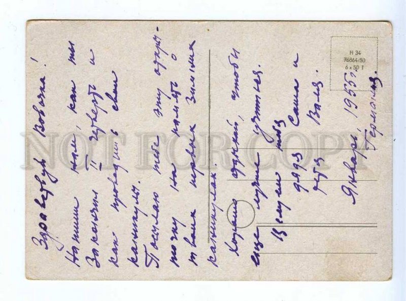 195904 GERMANY Snowman & dachshund dog Vintage postcard