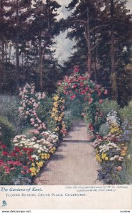 The Gardens Of Kent, Flower Border, Grove Place, Goudhurst, 1900-1910s; TUCK ...