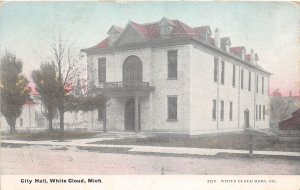 J59/ White Cloud Michigan Postcard c1910 City Hall Building 251