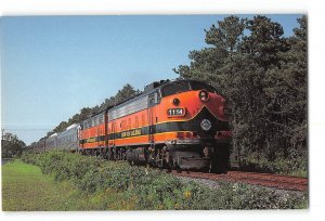 Cape Cod Massachusetts MA Vintage Postcard Cape Cod Railroad Train #1114