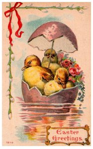 Easter,  Chicks,  in Egg boat