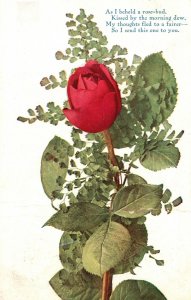 Vintage Postcard 1909 I Beheld Rose-Bud Kissed Morning Dew Send To You Greetings