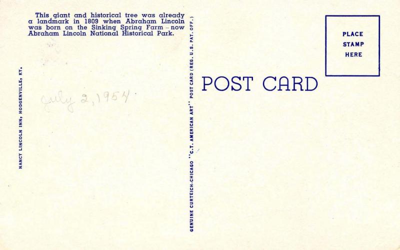 KY - Hodgenville. Ancient White Oak Tree