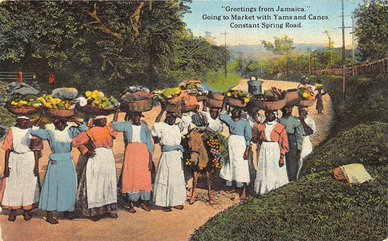 Jamaica Going To The Market with Yams and Canes Postcard