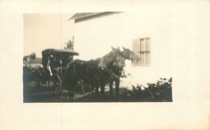 Horse Buggy in Front of House Early 1900s RPPC