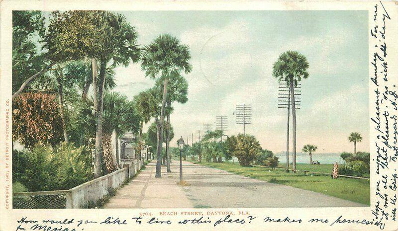 Beach Street Daytona Florida 1906 Postcard Detroit Publishing undivided 583 