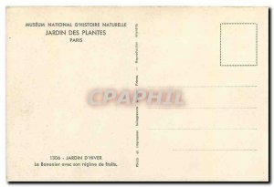 Old Postcard Musee National Natural Histoir Jardin des Plantes Paris the Wint...