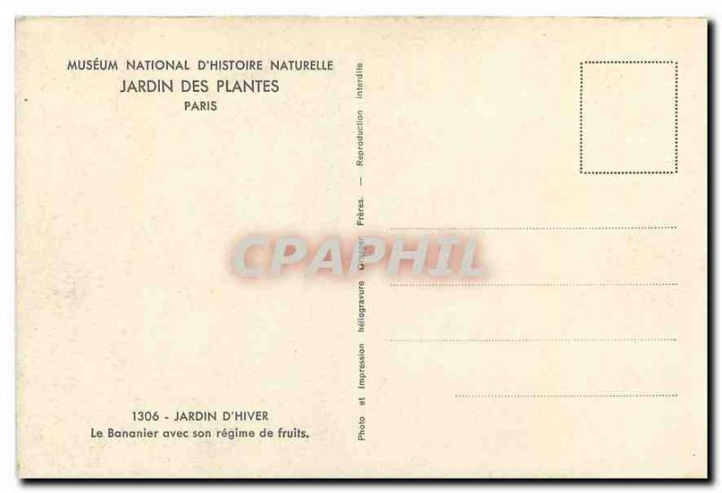 Old Postcard Musee National Natural Histoir Jardin des Plantes Paris the Wint...