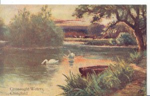 Essex Postcard - Connaught Waters - Chingford - Ref 3816A