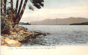 Pines along the Shore Lake George, New York