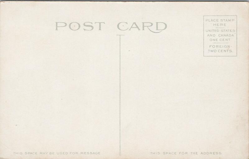 Public Library St. Joseph Missouri MO UNUSED Postcard D88