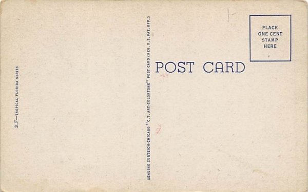 Picking Oranges in FL, USA Misc, Florida  