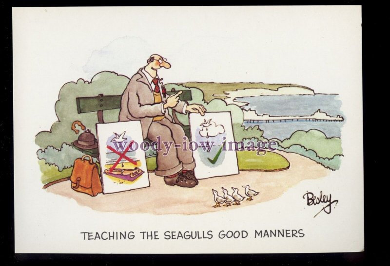 BES080 - Toilet Training - Teaching Seagulls Good Manners- Besley comic postcard