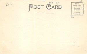 Bridge New Paltz, New York Postcard