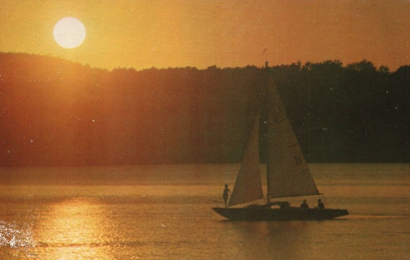 Vintage Postcard A Growing Parade Of Sailboats Glide Across Lake Of Ozarks