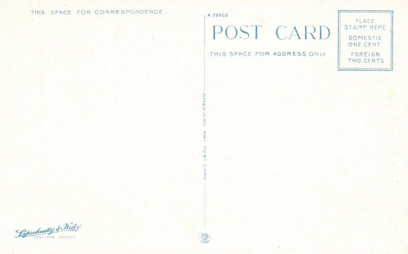 Vintage Postcard Columbia River and Wind Mountains as Seen From Highway Oregon