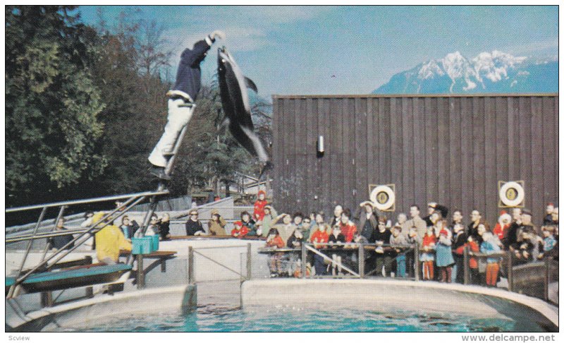 Jumping Dolphin, Vancouver Public Aquarium, Stanley Park, VANCOUVER, British ...