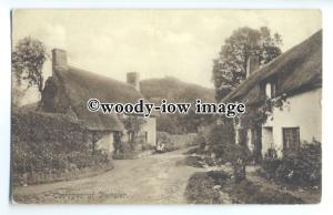 tq0511 - Somerset - Thatched Cottages and Gardens in Dunster Village - Postcard