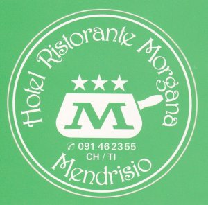 Switzerland Mendrisio Hotel Ristorante Morgana Vintage Luggage Label sk2732