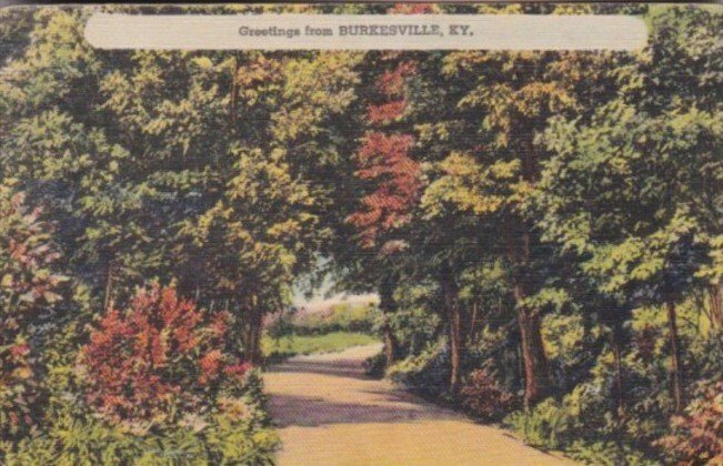 Greetings From Burkesville Kentucky Forest Scene 1944