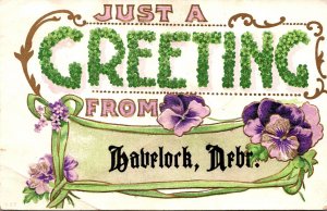 Nebraska Just A Greeting From Havelock 1910