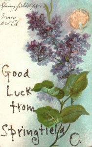 Vintage Postcard 1910's Greetings From Springfield Flower Good Luck Greeting