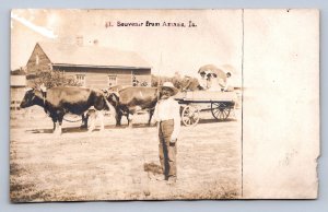 J96/ Amana Iowa RPPC Postcard c1910 Cow-Drawn Wagon Women 336