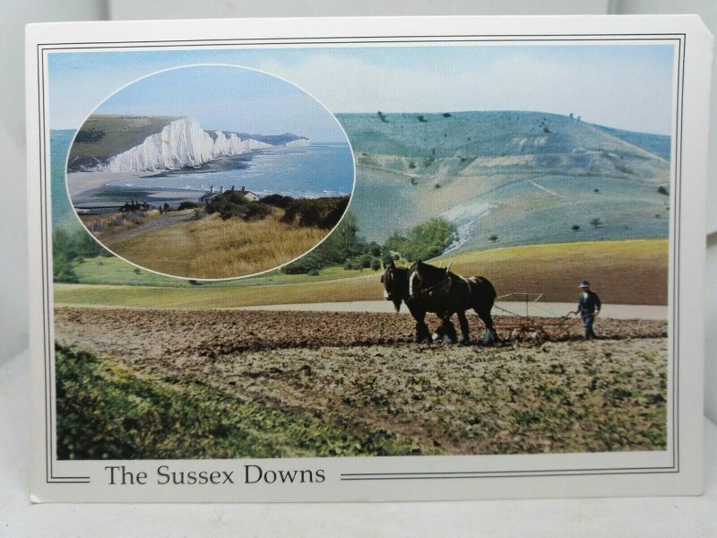 Vintage Multiview Postcard Farmer Ploughing Field with Shire Horses Sussex Downs