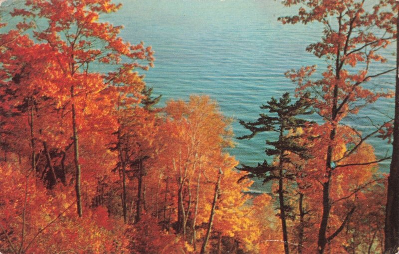 1955 Michigan Autumn Lake Shoreline Postcard 2R5-451 