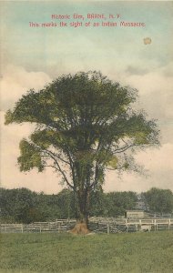 Postcard New York Barne Historic Elm C-1910 Indian Massacre Artino 23-2429