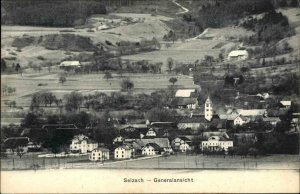 Selzach Switzerland General View c1910 Postcard