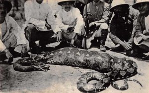 Singapore Hunters with Huge Snake Real Photo Vintage Postcard JF685743
