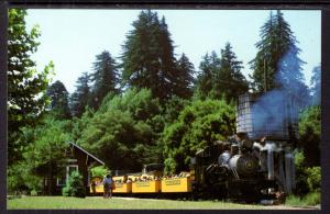 Roaring Camp Narrow Guage Railroad Locomotive # 2