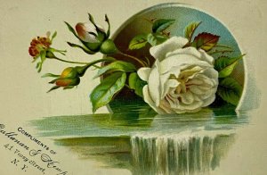 1880 Callanan Kemp Tea New York Sunday Democrat Poem White Rose Waterfall
