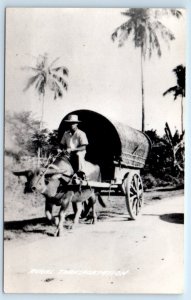RPPC Rural Transportation Ox Cart Philippines Postcard