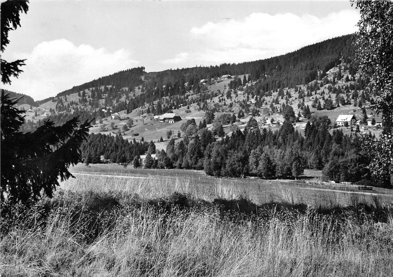 BG1358 blaswald hochschwarzwald  CPSM 14x9.5cm  germany