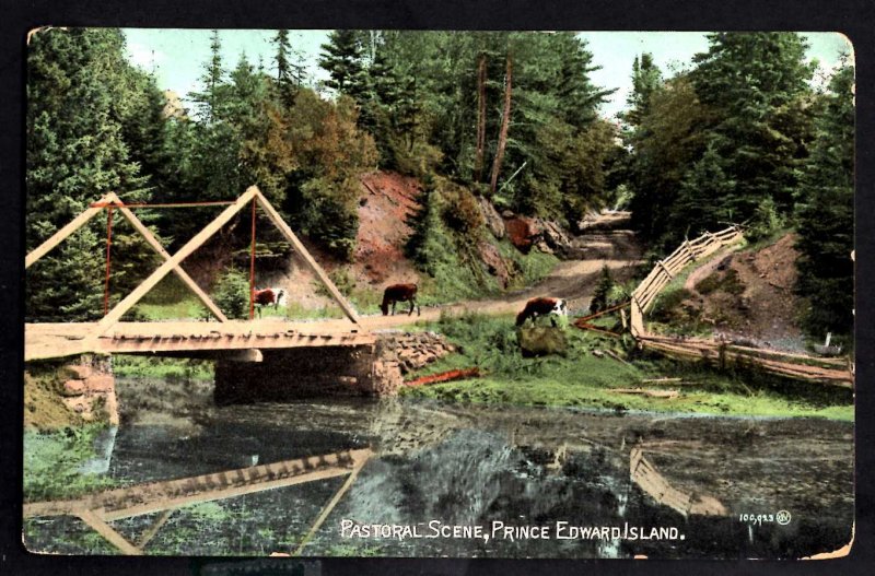 PEI Prince Edward Island Pastoral Scene Cattle Bridge By Valentine & Sons - DB